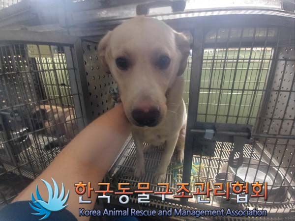한국동물구조관리협회_441398202400302